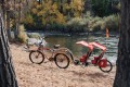 Przyczepka rowerowa WEEHOO TWO dwuosobowa dla dzieci w wieku od 2-9 lat