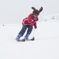 Nakładka na kask COOLCASC Animals Elk
