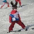 Nakładka na kask COOLCASC Animals Elk