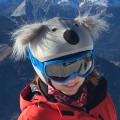 Nakładka na kask COOLCASC Animals Koala