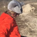 Nakładka na kask COOLCASC Animals Koala