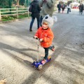 Nakładka na kask COOLCASC Animals Koala