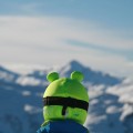 Nakładka na kask COOLCASC Animals Frog
