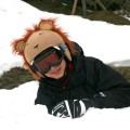 Nakładka na kask COOLCASC Animals Lion