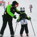 Nakładka na kask COOLCASC Animals Panda