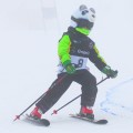 Nakładka na kask COOLCASC Animals Panda