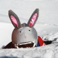 Nakładka na kask COOLCASC Animals Bunny
