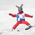 Nakładka na kask COOLCASC Animals Bunny