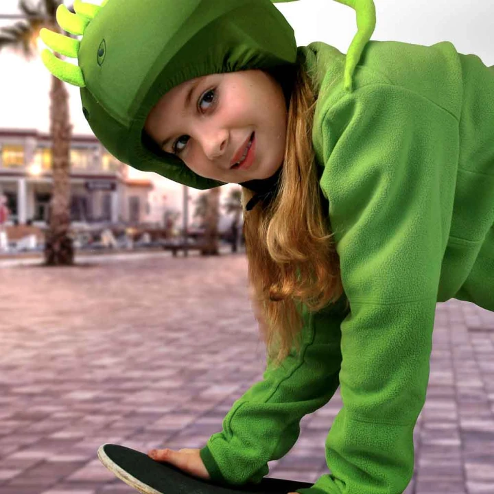046_SB2skate.jpg