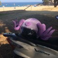 Nakładka na kask COOLCASC Animals Octopus