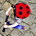 Nakładka na kask COOLCASC Animals Ladybug