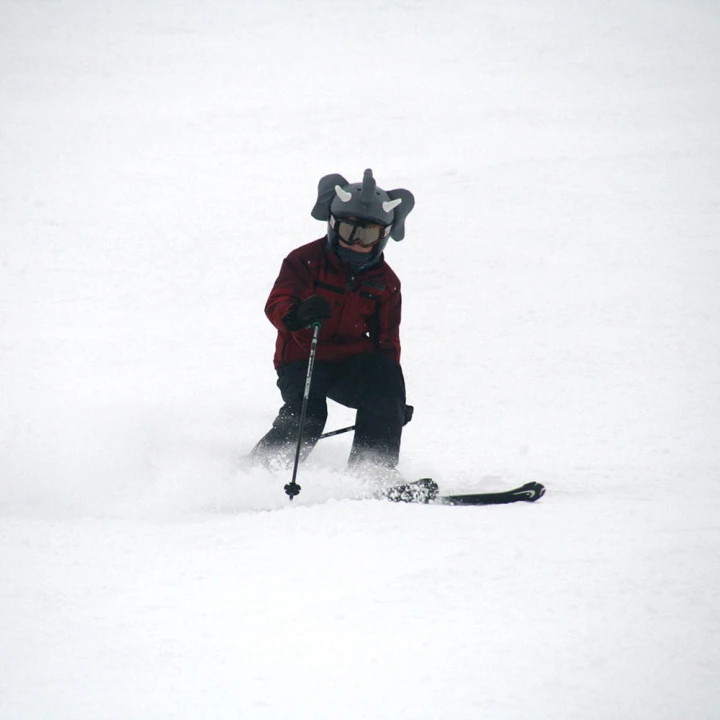 007_SB2SKI (3).jpg