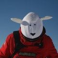 Nakładka na kask COOLCASC Animals White Sheep