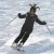 S064_SB2SKI (3).jpg