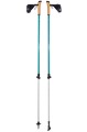 Kije Nordic Walking FERRINO Step-in 85-135 cm zielone