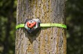 Uchwyty do wspinania Tree Climbers SCHILDKRÖT od Slackers 