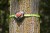 980040_Slackers_NinjaTreeclimbers_Image_2.JPG