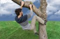 Uchwyty do wspinania Tree Climbers SCHILDKRÖT od Slackers 