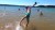 53507_Pickleball_Beach_Action_12.jpg