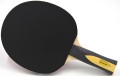 Rakietka do tenisa stołowego SUNFLEX Expert A30 10325
