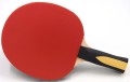 Rakietka do tenisa stołowego SUNFLEX Expert A30 10325