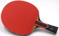Rakietka do tenisa stołowego SUNFLEX Ultimate C55 10344