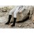 alpenheat-podgrzewane-skarpetki-fire-socks-rc-bawelna-1-para (7).jpg
