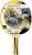 ds-rak-tenis-top-teams-500.jpg