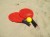 sfs-schildkr-ouml-t-beachtennis-set1.jpg