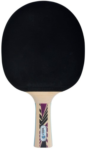 ds-rak-tenis-legends-800-fsc1.jpg