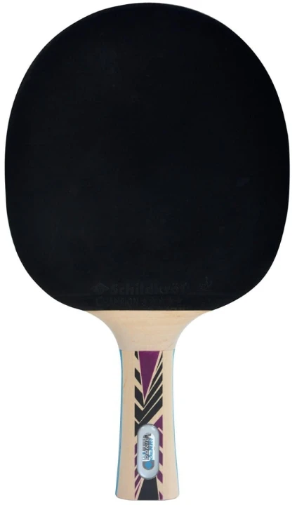 ds-rak-tenis-legends-800-fsc1.jpg