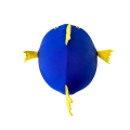 Nakładka na kask COOLCASC Animals Blue Fish