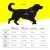 DogVest_2000x2000_ProductSlider_EN6_ffd9e258-a237-4965-8c64-756e50daabf0.jpg