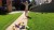 74026_Fun.jpg