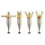 pol_pl_Manekin-treningowy-do-koszykowki-regulowany-VPDM-STP240RB4K-17543_2.jpg