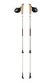 Kije Nordic Walking FERRINO Step-in 85-135 cm srebrne