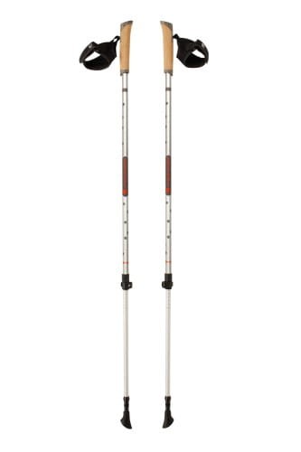 Kije Nordic Walking FERRINO Step-in 85-135 cm srebrne