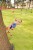 980022_Ninja_Kletterseil_Image_1.jpg