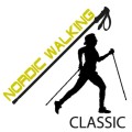Kije Nordic Walking FERRINO Step-in 85-135 cm srebrne