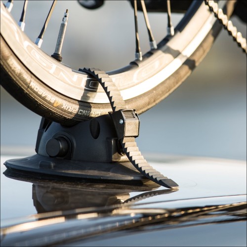 SEASUCKER_GALLERY_6_1024x1024@2x.jpg